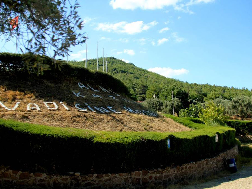 Kımız At Çiftliği
