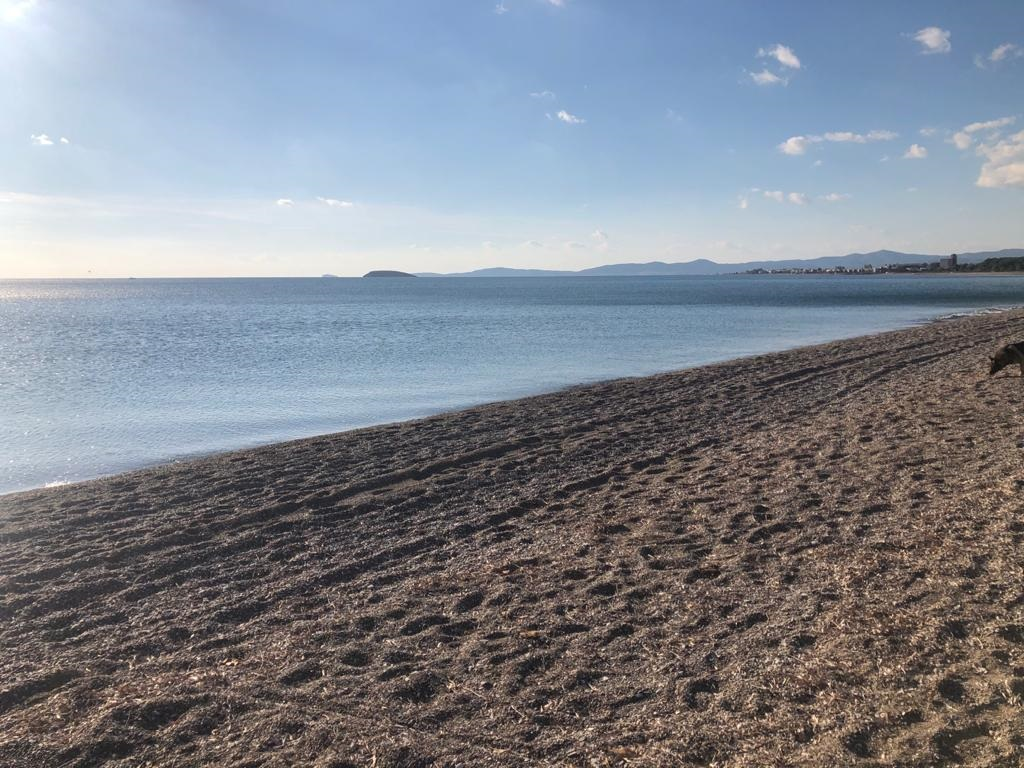 About Visit Izmir