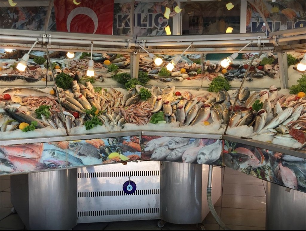 Cankut Balıkçılık