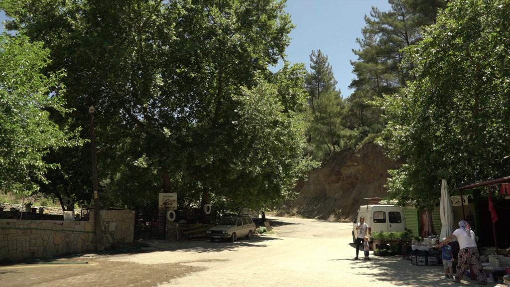 Dağtekke