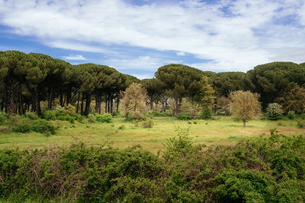 Visit İzmir Hakkında
