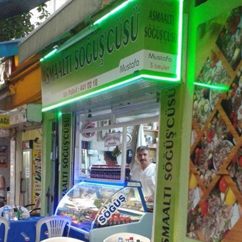 Asmaaltı Sögüşçüsü fotoğrafı