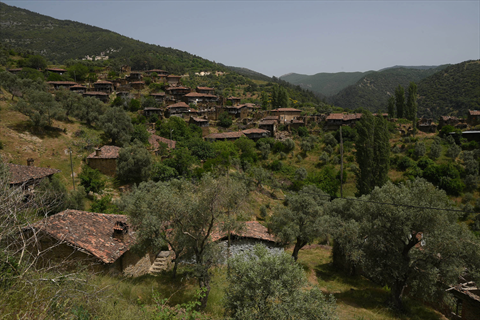 Lübbey Köyü fotoğrafı