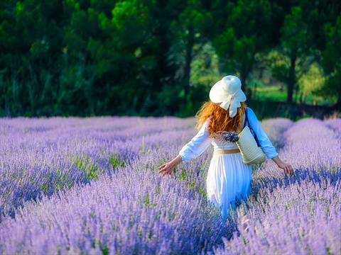 Сеферихисар fotoğrafı